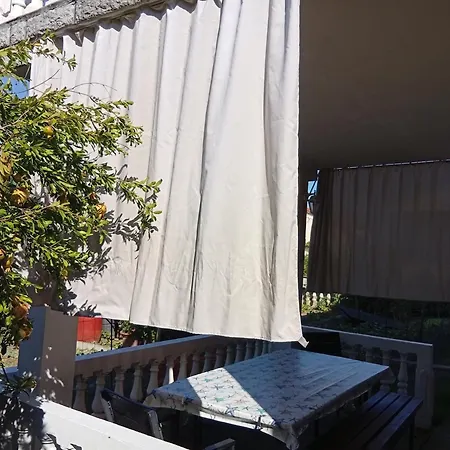 Sobe Mara Проживание в семье *